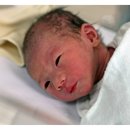 두리반디 이미지