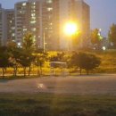 금강체육공원 이미지