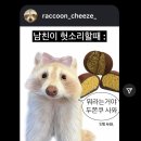 백운중앙로 | 두바이 쫀득 쿠키 두바이 초콜릿 디저트 맛집 백운호수 카페 헨지 내돈내산 후기