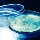 스마트맨의원 이미지