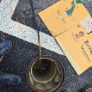 굿타임24 안성공도점 | 안성 일죽면 식당 하수구 막힘 새벽 긴급출동 후기 (이번 사례)+공도평택고압세척