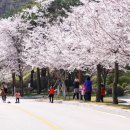이벤트풍선;사격