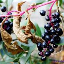 송정동-16 이미지