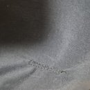 천도로 가로수길 이미지