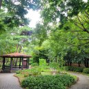 매탄(매여울공원) 이미지