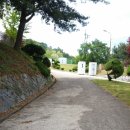 감천중학교 Daum카페