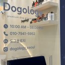 텐즈힐 애견미용 이미지