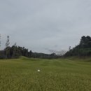 모나크cc 이미지