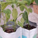 세경농장 이미지