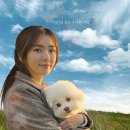 해피&해피