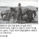 몽골인들의 삶의 방식 - 김남희 이미지