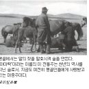 몽골인