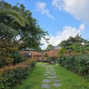 제주윤채 이미지