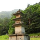 미천골 Daum카페
