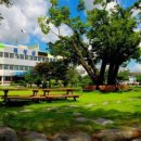 석곡면 유정2구 마을회관 이미지