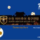 수원 아마추어 축구연합 제휴카드 최종안 및 지급 방법입니다 이미지