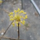 평곡2리 이미지