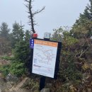 국립종자원 강원지원 1층 화장실 | [속초여행/설악산 : 10/11-10/13] "낭만 = 개고생?” 설악산 우중산행 후기 : 한계령 ~오색 코스 생존 기록