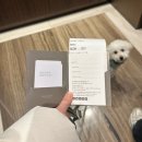 소노캄고양사우나 | 소노캄 고양 스탠다드 더블 펫룸 애견동반 후기 + 사우나 가격