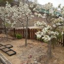 힘차게농장 이미지