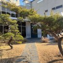 경남 진주 데이트하기 좋은 카페 &#39;스텝온더그라운드&#39; 방문 후기