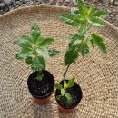 한우리 농산 이미지