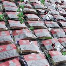 점프스타 줄넘기클럽 멀티스포츠 이미지