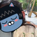 꽁냥이놀이터 이미지