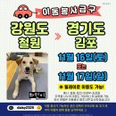 하민/철원＞＞김포/11월16 or 17일; 시간협의 이미지