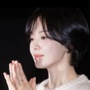 감자 바우 이미지