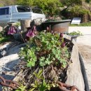 혜림민박 이미지