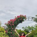 꽃이랑나무랑 이미지