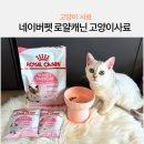 로얄펫 | 고양이사료추천 네이버 펫 바우처 혜택 로얄캐닌 고양이사료 사용 후기