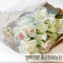 홍운농장 네이버블로그