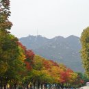 서울 대공원의 아름다운 화원 풍경 이미지