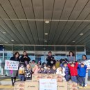 향기나무 이미지