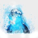 물뿜는 고래 이미지