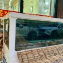 자갈치 산꼼장어 아나고 이미지