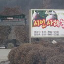 청마농장 Daum카페