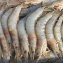 채석포항 이미지