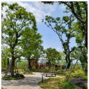 시티공인중개사사무소 이미지