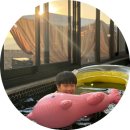 청도군-15 | [청도 온수풀] 로운스테이풀빌라 청도 온수 독채 풀빌라 후기