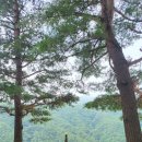 양양 진전사지 삼층석탑 | 양양진전사지 삼층석탑 양양 둔전계곡 트레킹