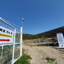 공룡타조랜드 이미지