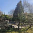 초이지아 이미지