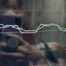 선바디테라피 이미지