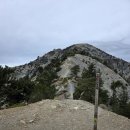 26년 10/10 Mt Baldy via Backbone trail 산행 사진 이미지
