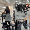 데일리 휘트니스 | 성수헬스장 24시간 데일리피트니스 성수점 임기산 트레이너님 PT후기