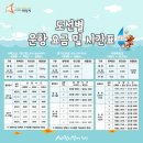 입파도 Daum카페