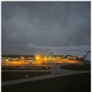 964 | 대한항공 부다페스트 직항 요일 특별기내식 일반석 좌석 KE964 이용 후기